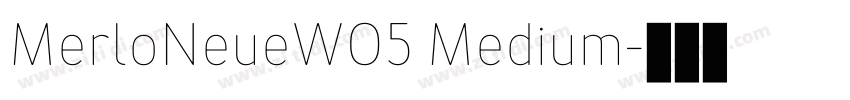 MerloNeueW05 Medium字体转换